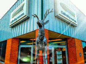 Greenway Equipment Blytheville